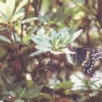 天天博娱乐的安全性与用户体验分析,值得信赖吗? 049aq5