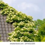 大玩家平台:如何在游戏世界中实现财富自由的秘诀 0gpxs10