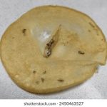 女神娱乐:探索当代女性在娱乐行业的崛起与影响 1bwenn