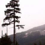 大赢家比分平台:体育迷必备的比分查询与预测工具 1csb0397o