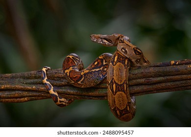 天地人平台在促进社会和谐中的重要作用