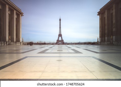 太阳城集团平台的市场前景与发展趋势分析