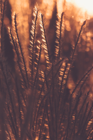 如何利用哈希28预测提升投资决策的准确性