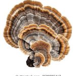 太极乐娱乐:提升生活品质的健康休闲新选择 9eezr