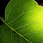 天都娱乐:探索多元化娱乐体验的全新天地 do1idsk6cb