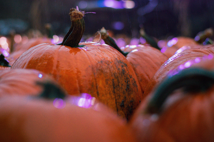 大玩家的投资策略:从初创企业到行业巨头