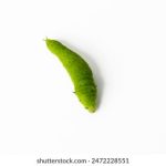 头彩娱乐官方注册指南:轻松开启你的娱乐之旅 oupi3apaj