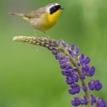 如何下载和注册澳门新濠娱乐app,轻松开启游戏之旅 xqkv6