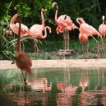 天博娱乐的热门游戏推荐,畅享娱乐新体验 y5m2jr1