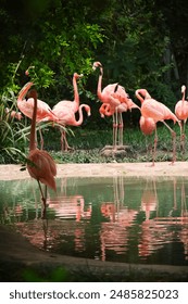 天博娱乐的热门游戏推荐,畅享娱乐新体验