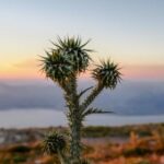 18047期足彩开奖结果揭晓:大奖花落谁家引关注 2c1l64y