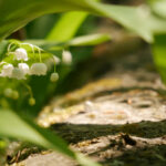 3D225期开奖号码已公布最新结果查询 3gwtmmp8