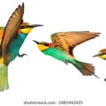 3d215期开奖号码公布及中奖详情查询 8g6wr