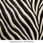 18056期体育彩票开奖结果最新公布 b943g2d04