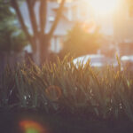 3d237期最新开奖结果查询与详细数据分析 gl8ar4ffr