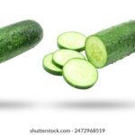 3d239期历史开奖号码查询与完整开奖结果回顾 joh75st