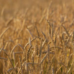 18067期体育彩票开奖结果公布最新号码查询 orfov6376l