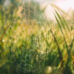 18067期开奖结果公布,幸运号码震撼揭晓 tl8dn77