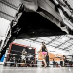 3d222期历史开奖号码查询与完整数据统计 to496ifjz4