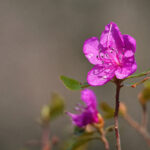 3d233期开奖结果最新公布,中奖号码全面揭晓 u4pcg29hvr