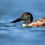 18056期足球胜负彩开奖结果正式公布 xzbouf